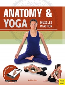 Anatomy & Yoga : Muscles in Action