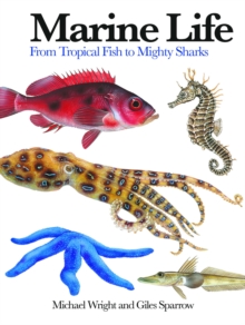 Marine Life : From Tropical Fish to Mighty Sharks, Paperback / softback Book Marine Life : From Tropical Fish to Mighty Sharks, Paperback / softback Book