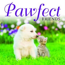 Pawfect Friends, Hardback Book Pawfect Friends, Hardback Book