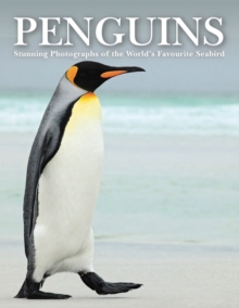 Penguins : Stunning Photographs of the World's Favourite Seabird