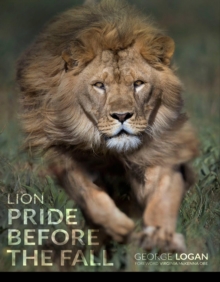 Lion: Pride Before The Fall