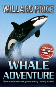 Whale Adventure, Paperback / softback Book Whale Adventure, Paperback / softback Book