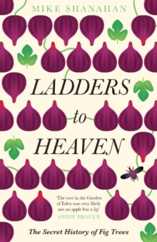 Ladders to Heaven, Paperback / softback Book Ladders to Heaven, Paperback / softback Book