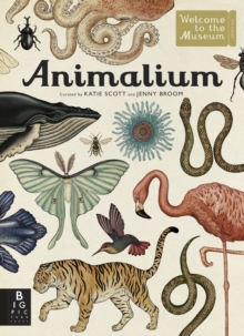 Animalium, Hardback Book Animalium, Hardback Book