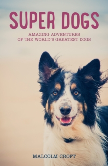 Super Dogs : Heart-Warming Stories of the World's Greatest Dogs