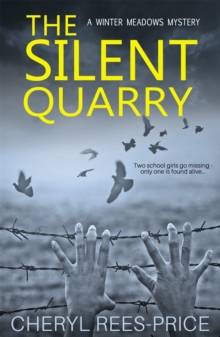 The Silent Quarry : A DI Winter Meadows Mystery