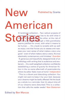 New American Stories, Paperback / softback Book New American Stories, Paperback / softback Book