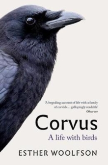 Corvus : A Life With Birds