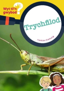 Cyfres Wyt Ti'n Gwybod?: Trychfilod, Paperback Book Cyfres Wyt Ti'n Gwybod?: Trychfilod, Paperback Book