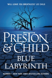 Blue Labyrinth, Hardback Book Blue Labyrinth, Hardback Book