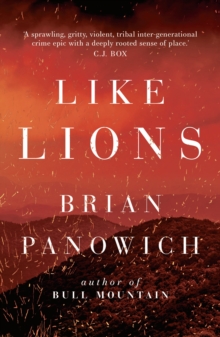 Like Lions, Paperback / softback Book Like Lions, Paperback / softback Book