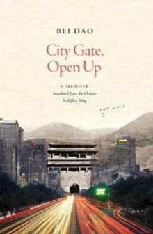 City Gate, Open Up, Paperback / softback Book City Gate, Open Up, Paperback / softback Book