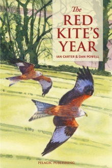 The Red Kite's Year