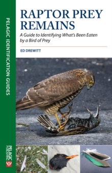 Raptor Prey Remains : A Guide to Identifying Whats Been Eaten by a Bird of Prey