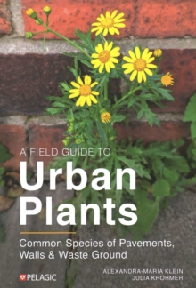 Pelagic Publishing A Field Guide To Urban Plants , Common Species Of Pavements, Walls And Waste Ground