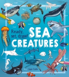 Ready, Set, Draw! Sea Creatures, Paperback / softback Book Ready, Set, Draw! Sea Creatures, Paperback / softback Book