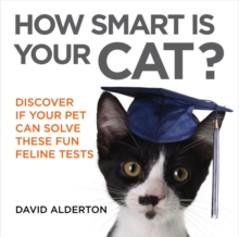 How Smart Is Your Cat? : Discover If Your Pet Can Solve These Fun Feline Tests