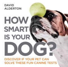 How Smart Is Your Dog? : Discover If Your Pet Can Solve These Fun Canine Tests