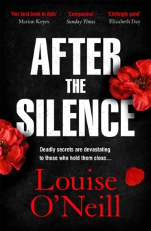 After the Silence : The An Post Irish Crime Novel of the Year