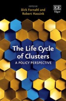 Life Cycle of Clusters : A Policy Perspective