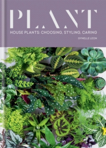 Plant : House plants: choosing, styling, caring