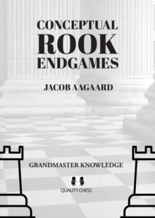 Conceptual Rook Endgames