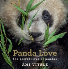 Panda Love : The secret lives of pandas, Hardback Book Panda Love : The secret lives of pandas, Hardback Book
