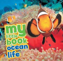 My Little Book of Ocean Life, Hardback Book My Little Book of Ocean Life, Hardback Book