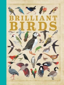 Brilliant Birds, Hardback Book Brilliant Birds, Hardback Book