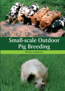 Small-scale Outdoor Pig Breeding