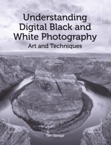 Understanding Digital Black and White Photography : Art and Techniques