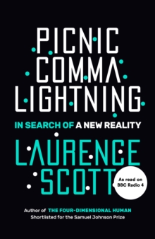 Picnic Comma Lightning : In Search of a New Reality, Hardback Book Picnic Comma Lightning : In Search of a New Reality, Hardback Book