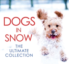 Dogs in Snow - the Ultimate Collection, Hardback Book Dogs in Snow - the Ultimate Collection, Hardback Book