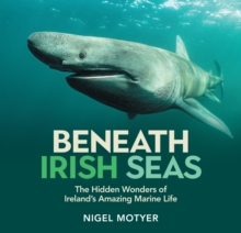 Beneath Irish Seas : The Hidden Wonders of Irelands Amazing Marine Life