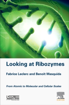 Looking at Ribozymes : From Atomic to Molecular and Cellular Scales, Hardback Book Looking at Ribozymes : From Atomic to Molecular and Cellular Scales, Hardback Book