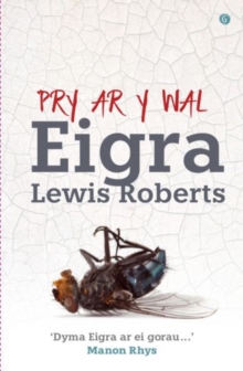 Pry ar y Wal, Paperback / softback Book Pry ar y Wal, Paperback / softback Book