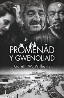 Promenad y Gwenoliaid, Paperback / softback Book Promenad y Gwenoliaid, Paperback / softback Book