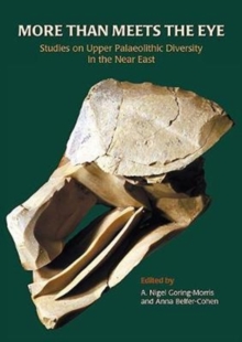 More than Meets the Eye : Studies on Upper Palaeolithic Diversity in the Near East, Paperback / softback Book More than Meets the Eye : Studies on Upper Palaeolithic Diversity in the Near East, Paperback / softback Book