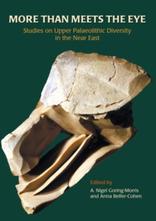 More than Meets the Eye : Studies on Upper Palaeolithic Diversity in the Near East