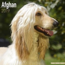 Afghan Calendar 2019, Paperback Book Afghan Calendar 2019, Paperback Book