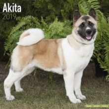 Akita Calendar 2019, Paperback Book Akita Calendar 2019, Paperback Book