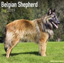 Belgian Shepherd Calendar 2019, Paperback Book Belgian Shepherd Calendar 2019, Paperback Book