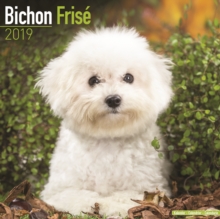 Bichon Frise Calendar 2019, Paperback Book Bichon Frise Calendar 2019, Paperback Book