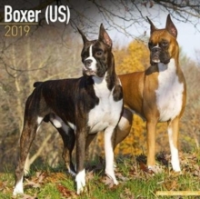 Boxer (US) Calendar 2019, Paperback Book Boxer (US) Calendar 2019, Paperback Book