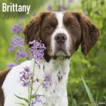Brittany Calendar 2019, Paperback Book Brittany Calendar 2019, Paperback Book