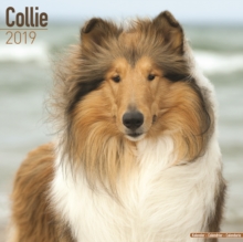 Collie Calendar 2019, Paperback Book Collie Calendar 2019, Paperback Book