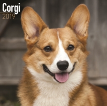 Corgi Calendar 2019, Paperback Book Corgi Calendar 2019, Paperback Book
