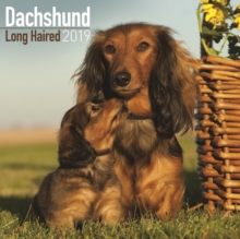 Dachshund Long Haired Calendar 2019, Paperback Book Dachshund Long Haired Calendar 2019, Paperback Book