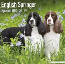 English Springer Spaniel (US) Calendar 2019, Paperback Book English Springer Spaniel (US) Calendar 2019, Paperback Book