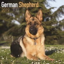 German Shepherd Calendar 2019, Paperback Book German Shepherd Calendar 2019, Paperback Book